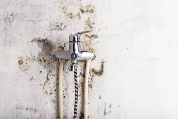 Certified Mold Removal in Westville, OK
