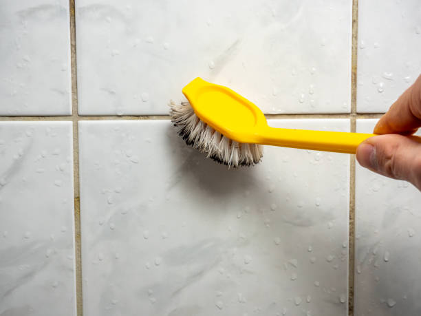  Westville, OK Mold Removal Pros