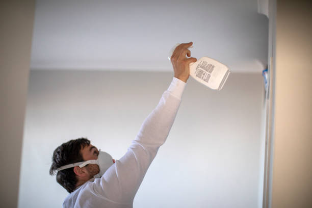 Best Professional Mold Removal  in Westville, OK