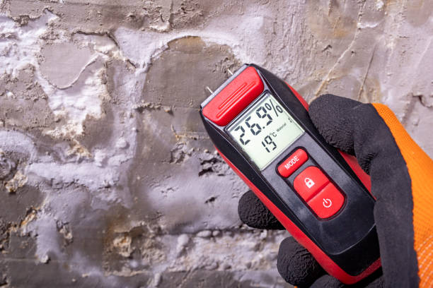 Westville, OK Mold Removal Company
