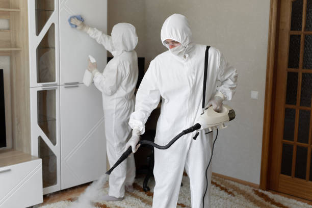 Mold Testing and Removal in Westville, OK
