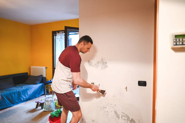 Attic Mold Removal in Westville, OK