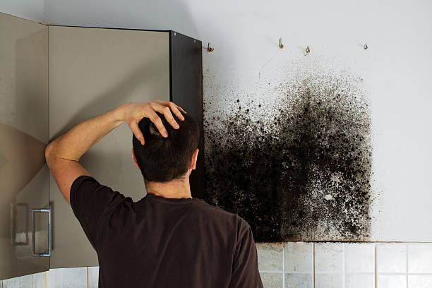 Best Mold Testing  in Westville, OK